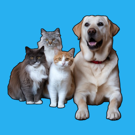 Pets
